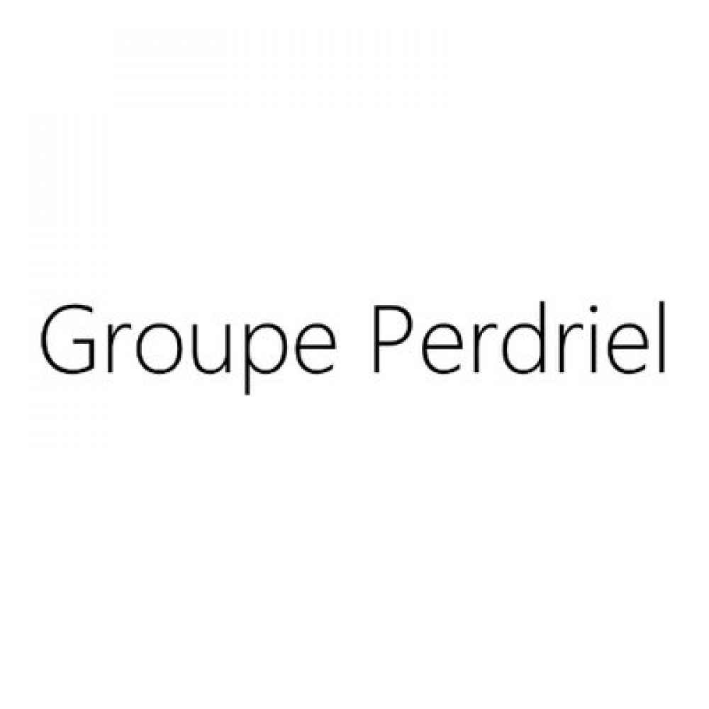 Groupe Perdriel